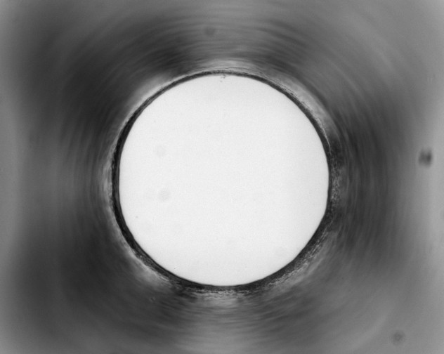 X0000103930999200810101349