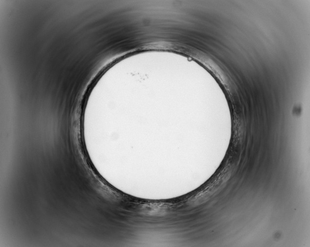 X0000103931000200810101349