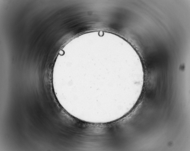 X0000103931001200810101349