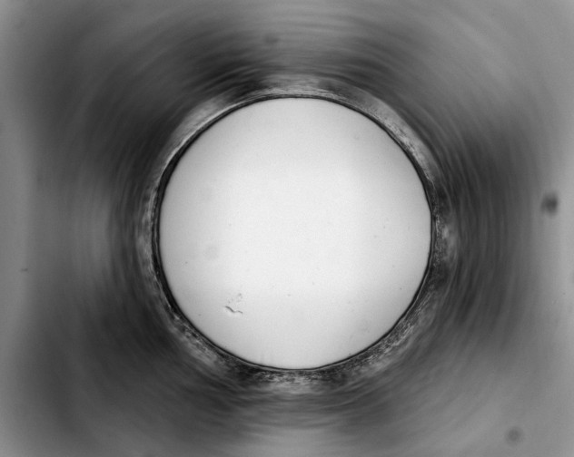 X0000103931002200810101349