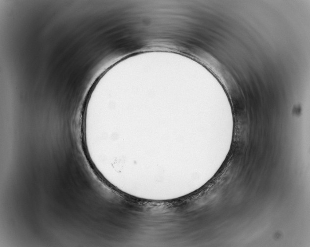 X0000103931003200810101349