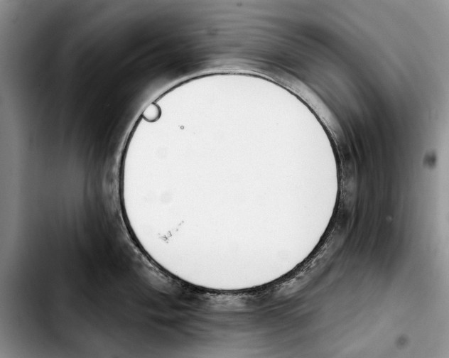 X0000103931004200810101349