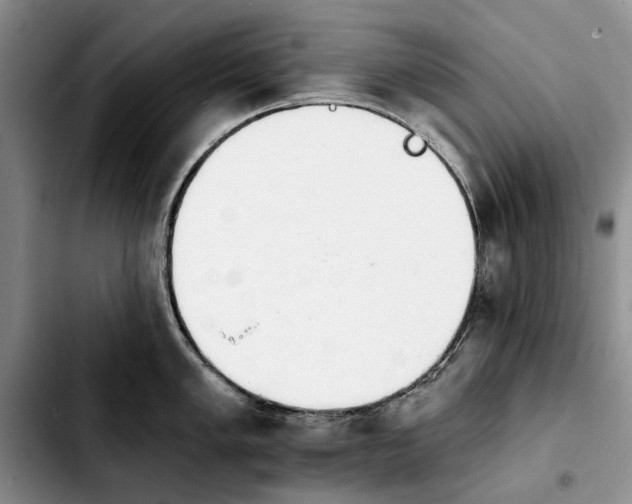 X0000103931005200810101349