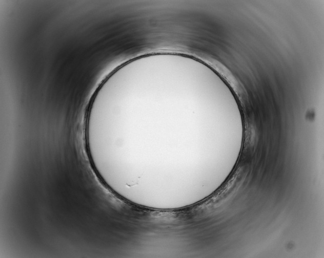 X0000103931006200810101349