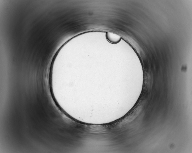 X0000103931007200810101349