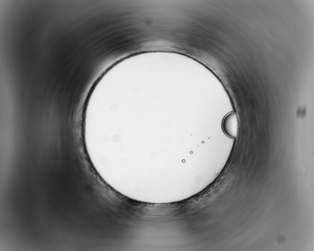 X0000103931008200810101349