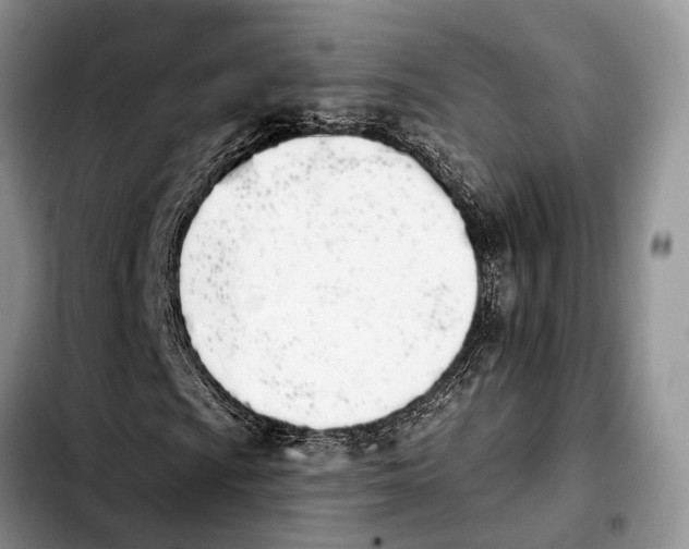 X0000103931009200810101348