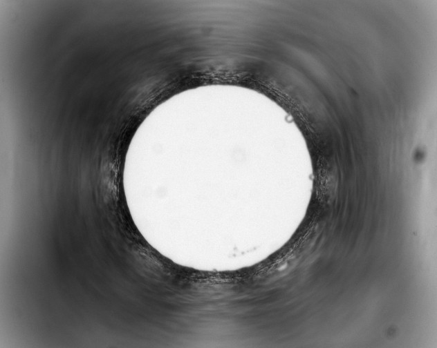 X0000103931010200810101348