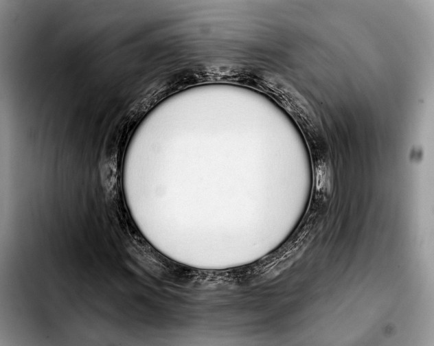 X0000103931011200810101348