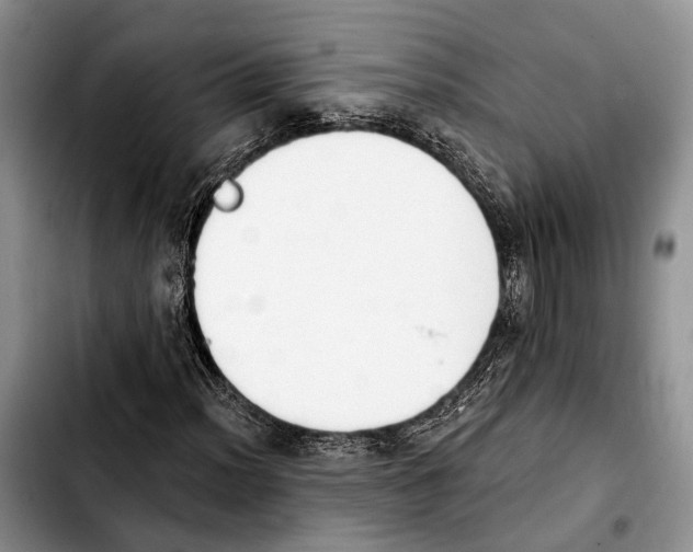 X0000103931012200810101348