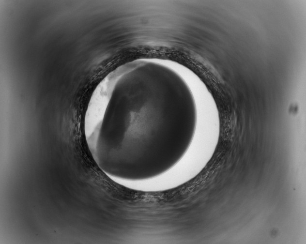 X0000103931013200810101348