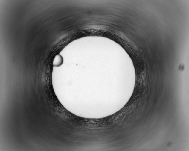 X0000103931014200810101348