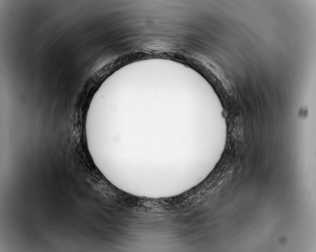 X0000103931015200810101348