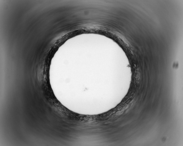 X0000103931016200810101348