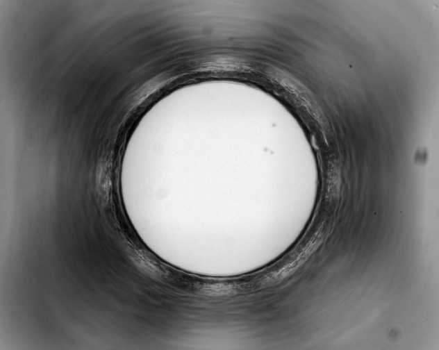 X0000103931017200810101348