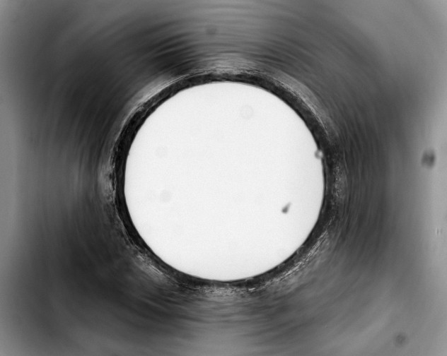 X0000103931018200810101348