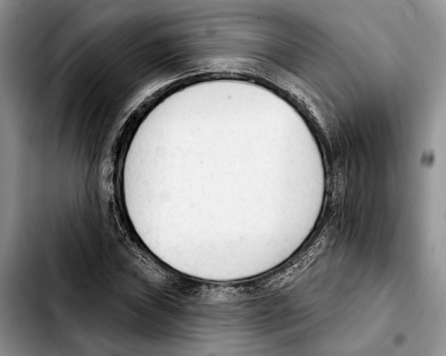 X0000103931019200810101348