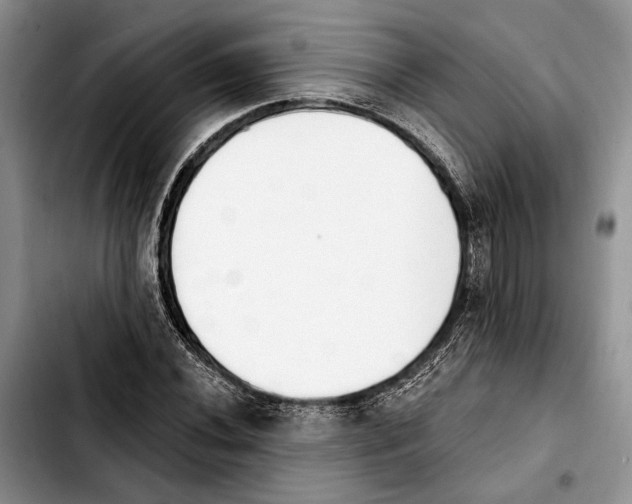 X0000103931020200810101348