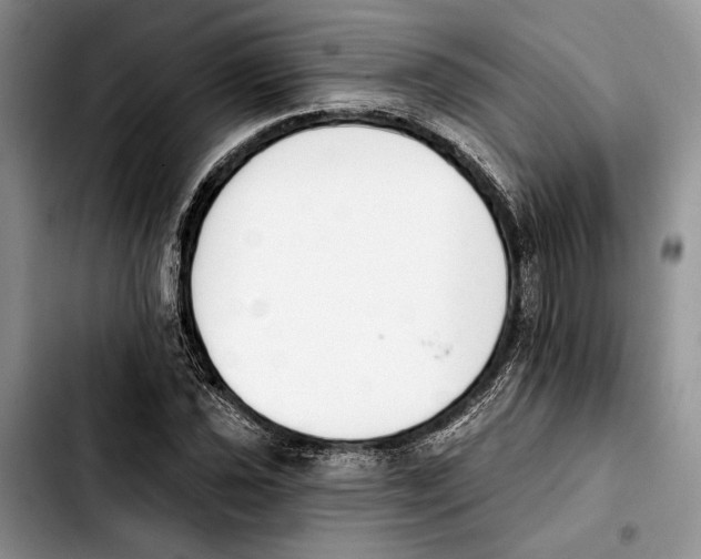 X0000103931021200810101348