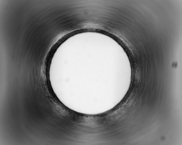 X0000103931022200810101348