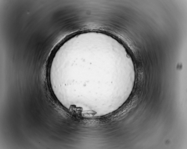 X0000103931023200810101348