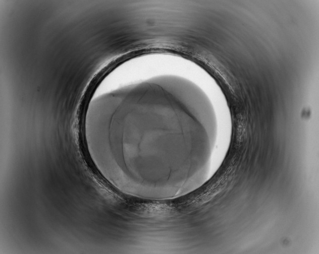 X0000103931024200810101348