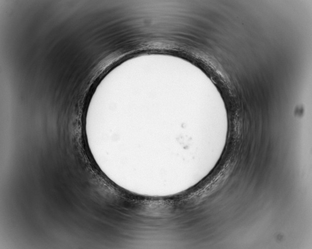 X0000103931025200810101349