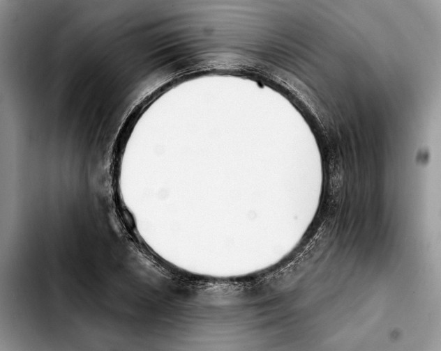 X0000103931026200810101349