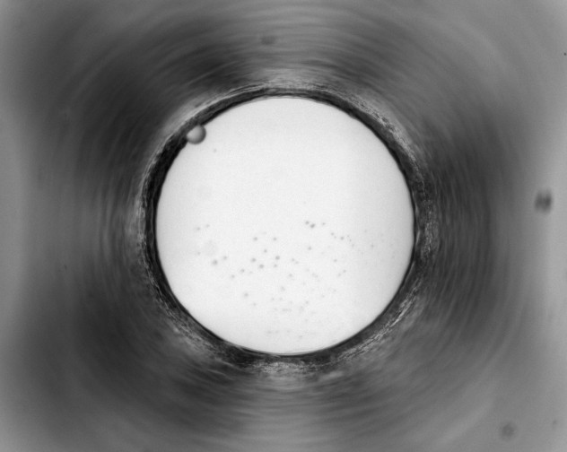 X0000103931027200810101349