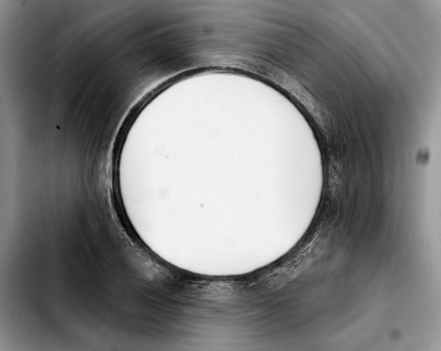 X0000103931028200810101349