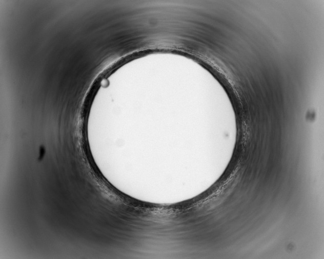 X0000103931029200810101349