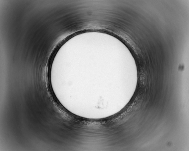 X0000103931030200810101349