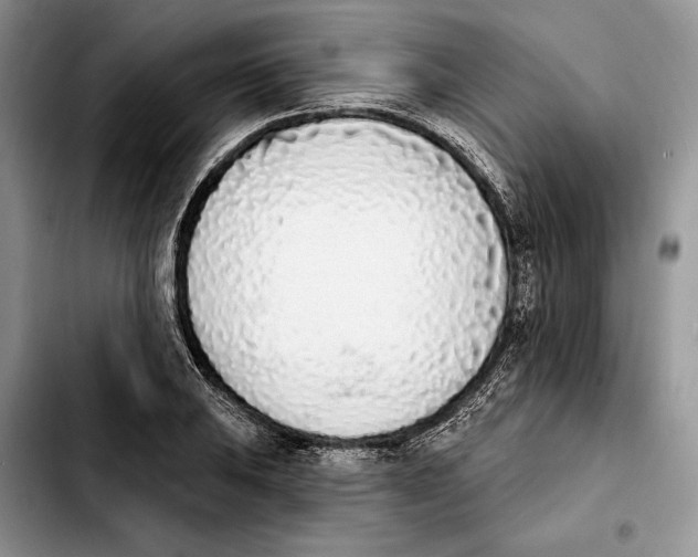 X0000103931031200810101349