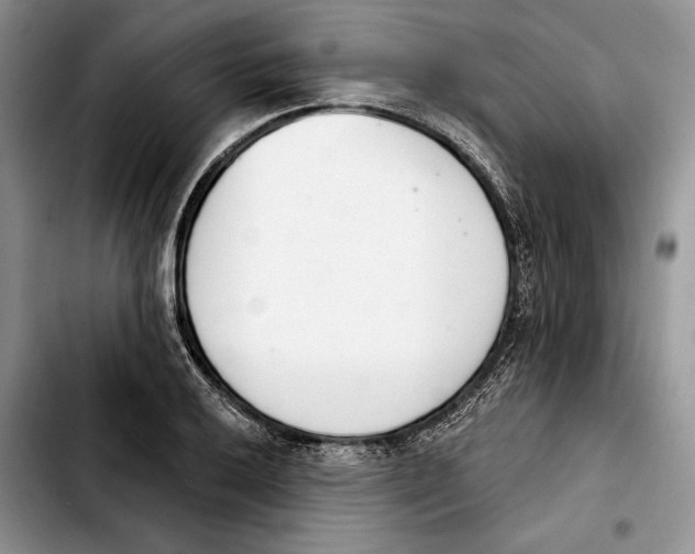 X0000103931032200810101349