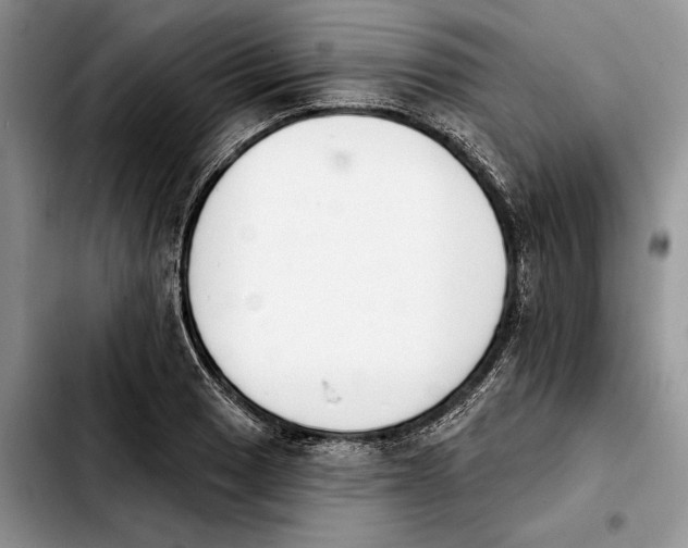 X0000103931033200810101349