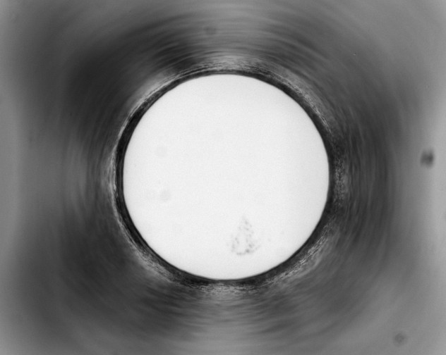 X0000103931034200810101349