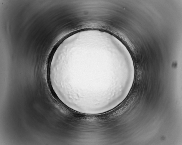 X0000103931035200810101349