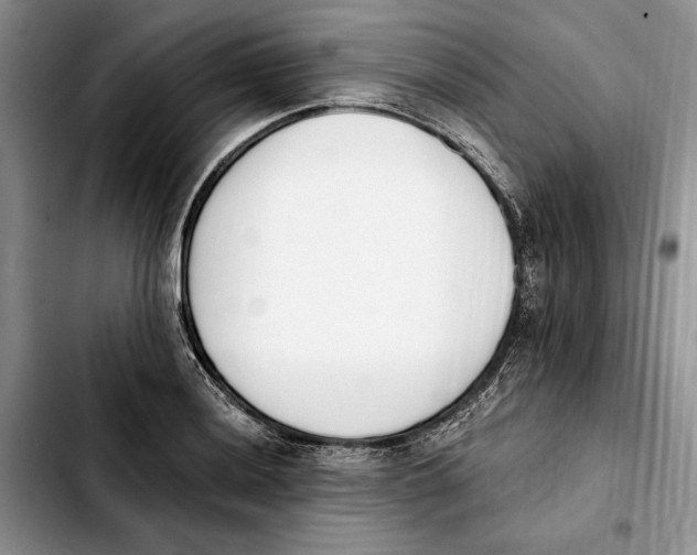 X0000103931036200810101349