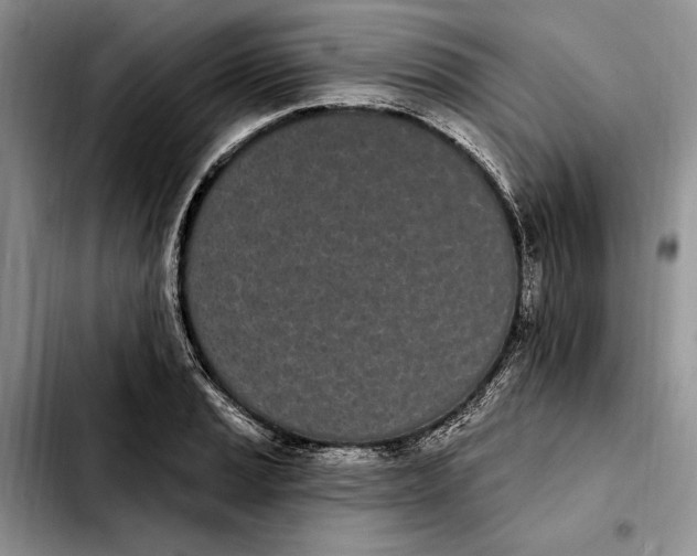 X0000103931037200810101349