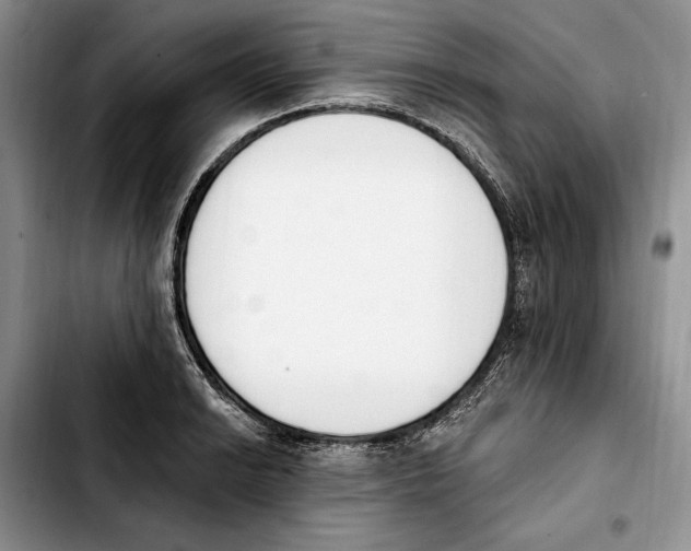 X0000103931038200810101349