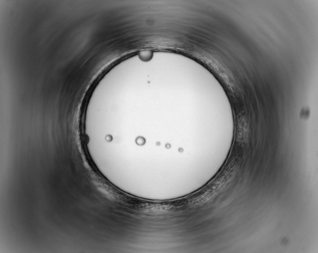 X0000103931039200810101349