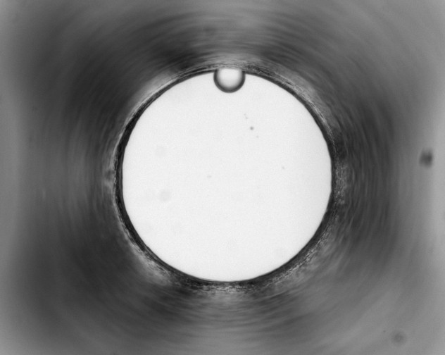 X0000103931042200810101349