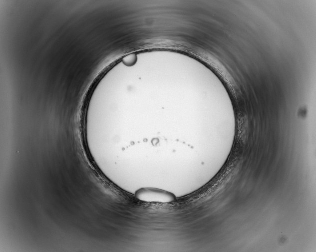 X0000103931043200810101349