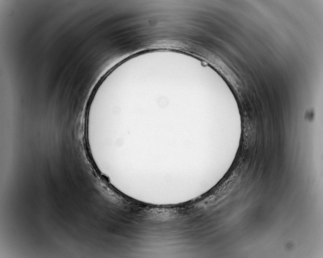 X0000103931044200810101349