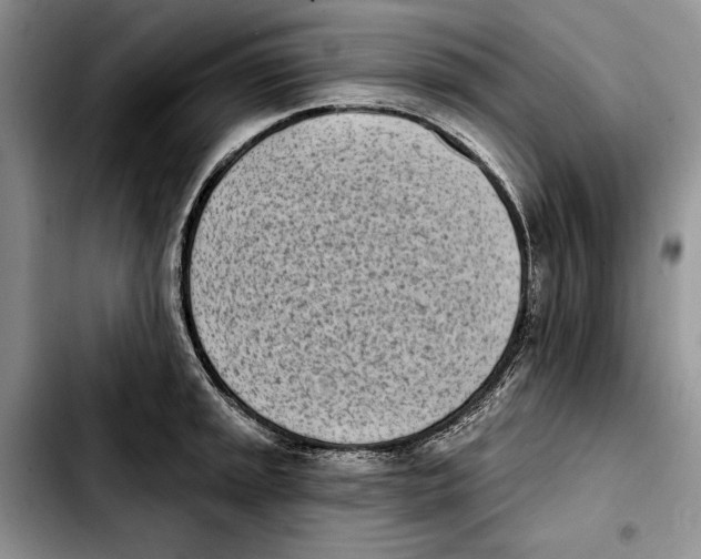 X0000103931045200810101349