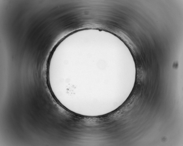 X0000103931046200810101349