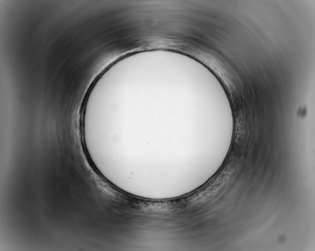 X0000103931047200810101349