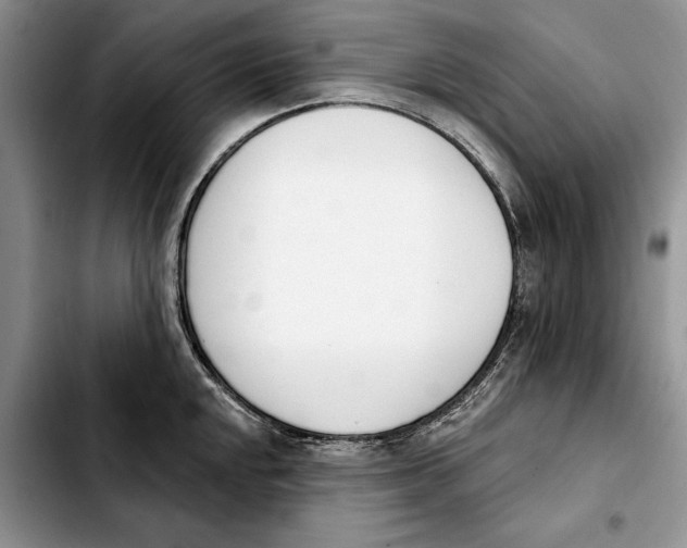 X0000103931048200810101349