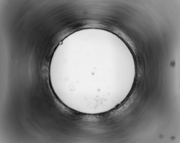 X0000103931049200810101349