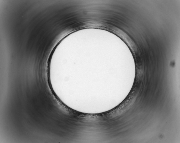 X0000103931050200810101349